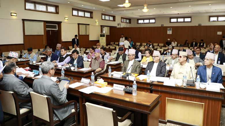 भ्रष्टाचारीलाई कैदबाहिर बस्न दिनेबारे राज्य व्यवस्था समितिमा छलफल