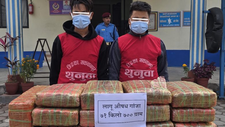 हेटौंडाबाट ७१ किलो लागुऔषध गाँजा सहित २ जना पक्राउ