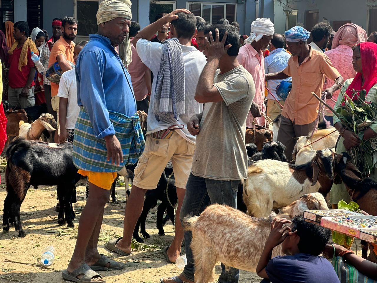 खरिद गर्ने मानिस नहुँदा सस्तोमा खसी-बोका बेच्न किसान बाध्य